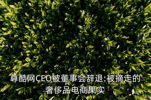 尊酷網CEO被董事會辭退:被摘走的奢侈品電商果實