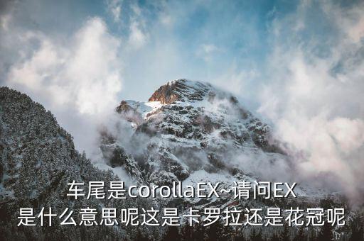 車尾是corollaEX~請(qǐng)問(wèn)EX是什么意思呢這是卡羅拉還是花冠呢