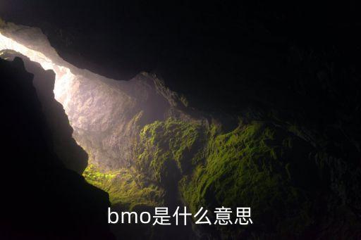 bmo是什么意思