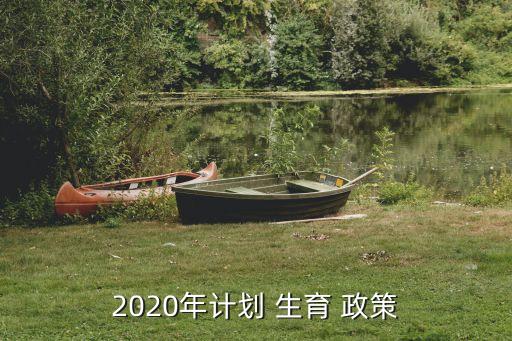 2020年計劃 生育 政策