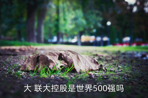 大 聯(lián)大控股是世界500強嗎