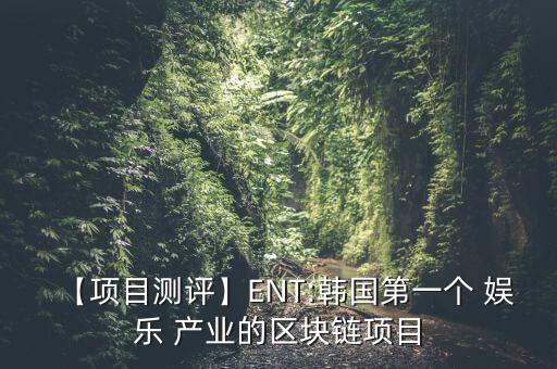 【項(xiàng)目測評(píng)】ENT:韓國第一個(gè) 娛樂 產(chǎn)業(yè)的區(qū)塊鏈項(xiàng)目