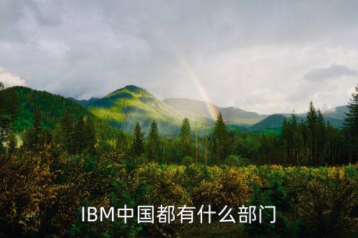 IBM中國都有什么部門