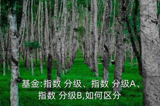  基金:指數(shù) 分級、指數(shù) 分級A、指數(shù) 分級B,如何區(qū)分