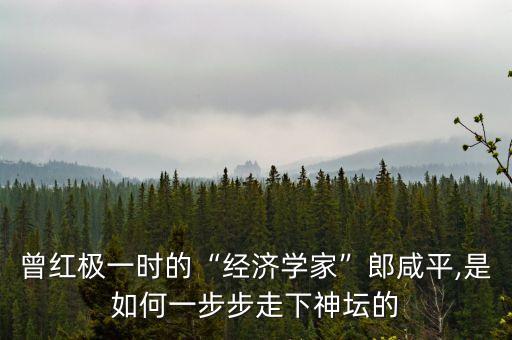 曾紅極一時的“經(jīng)濟(jì)學(xué)家”郎咸平,是如何一步步走下神壇的