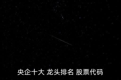 央企十大 龍頭排名 股票代碼