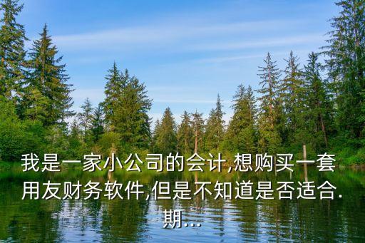 我是一家小公司的會計,想購買一套 用友財務(wù)軟件,但是不知道是否適合.期...