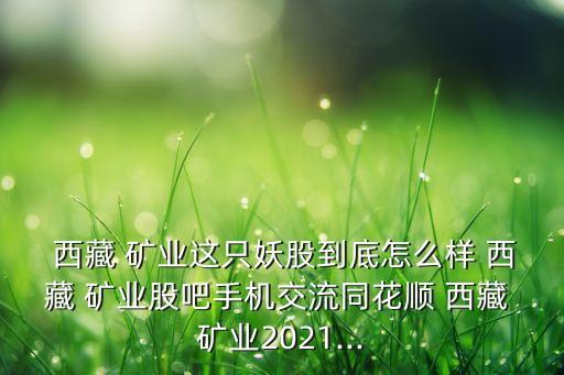  西藏 礦業(yè)這只妖股到底怎么樣 西藏 礦業(yè)股吧手機交流同花順 西藏 礦業(yè)2021...