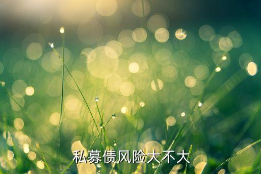  私募債風(fēng)險(xiǎn)大不大