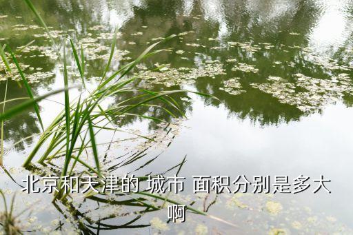 北京和天津的 城市 面積分別是多大啊