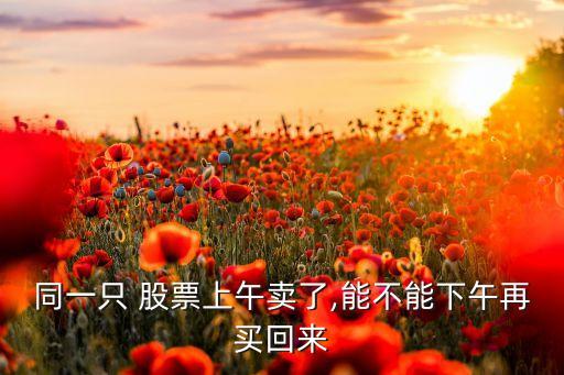 同一只 股票上午賣了,能不能下午再買回來(lái)