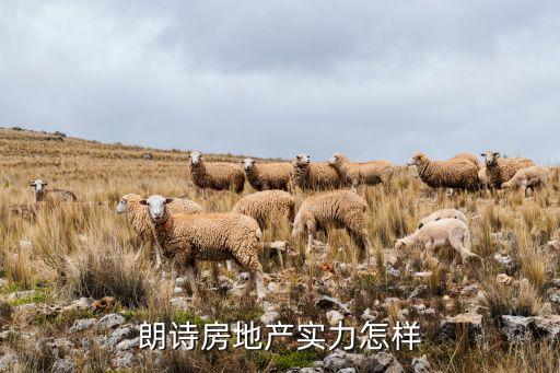 朗詩集團(tuán)跑路,朗詩 老板跑路