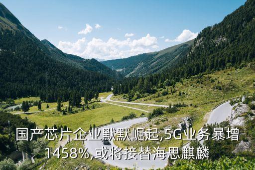 國(guó)產(chǎn)芯片企業(yè)默默崛起,5G業(yè)務(wù)暴增1458%,或?qū)⒔犹婧Ｋ槛梓? class=