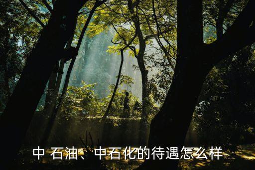 中 石油、中石化的待遇怎么樣