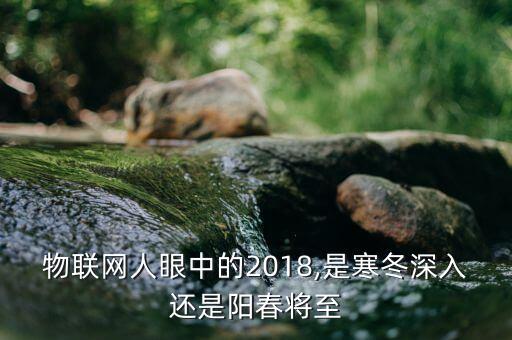 物聯(lián)網(wǎng)人眼中的2018,是寒冬深入還是陽(yáng)春將至