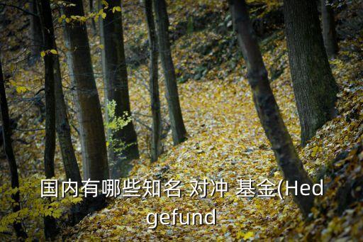 國(guó)內(nèi)有哪些知名 對(duì)沖 基金(Hedgefund