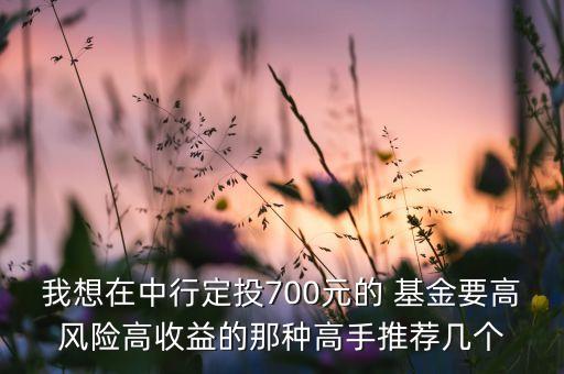 我想在中行定投700元的 基金要高風(fēng)險(xiǎn)高收益的那種高手推薦幾個(gè)