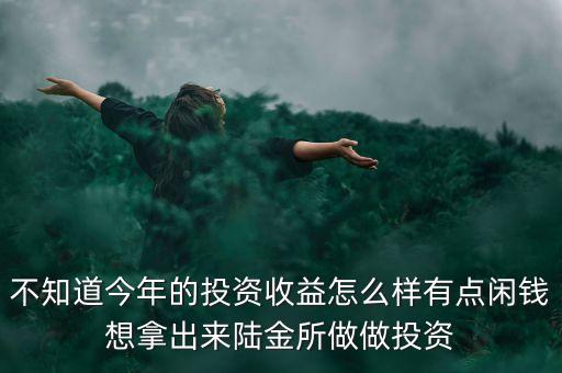 不知道今年的投資收益怎么樣有點(diǎn)閑錢想拿出來陸金所做做投資