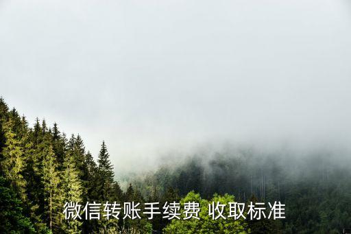 微信轉(zhuǎn)賬手續(xù)費 收取標準