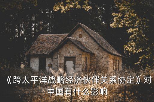 《跨太平洋戰(zhàn)略經(jīng)濟伙伴關(guān)系協(xié)定》對中國有什么影響