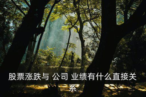 股票漲跌與 公司 業(yè)績有什么直接關(guān)系