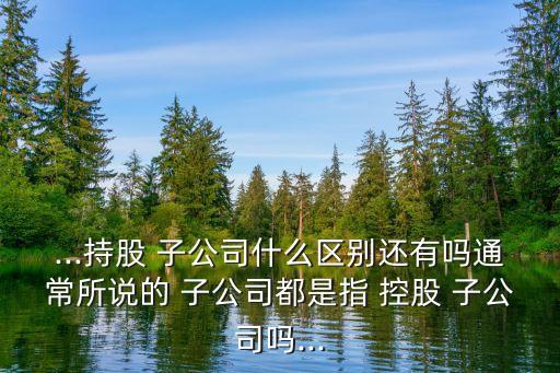 ...持股 子公司什么區(qū)別還有嗎通常所說的 子公司都是指 控股 子公司嗎...