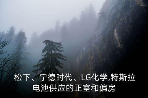  松下、寧德時代、LG化學,特斯拉電池供應的正室和偏房