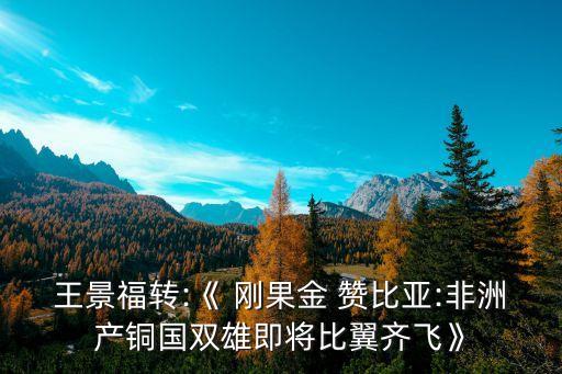 王景福轉(zhuǎn):《 剛果金 贊比亞:非洲產(chǎn)銅國雙雄即將比翼齊飛》