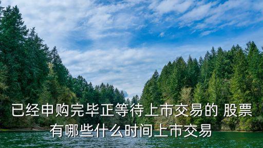 已經申購完畢正等待上市交易的 股票有哪些什么時間上市交易