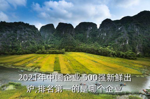 中國500強企業(yè)家俱樂部,中國HRO企業(yè)家俱樂部