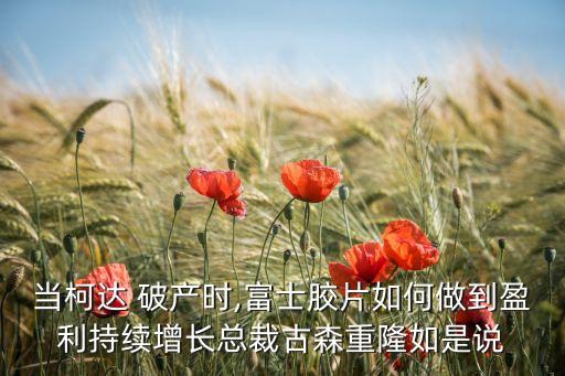 柯達公司破產(chǎn),柯達破產(chǎn)原因論文