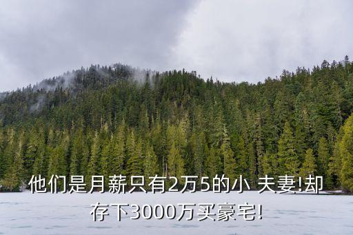 他們是月薪只有2萬(wàn)5的小 夫妻!卻存下3000萬(wàn)買豪宅!