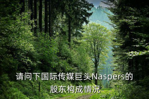 請問下國際傳媒巨頭Naspers的 股東構成情況