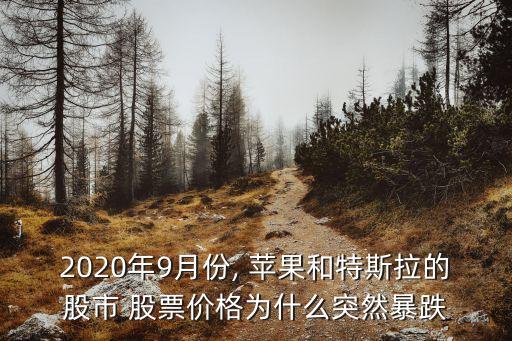 2020年9月份, 蘋(píng)果和特斯拉的股市 股票價(jià)格為什么突然暴跌