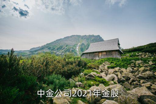 中金公司2021年金股