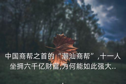 中國商幫之首的“潮汕商幫”,十一人坐擁六千億財富,為何能如此強大...