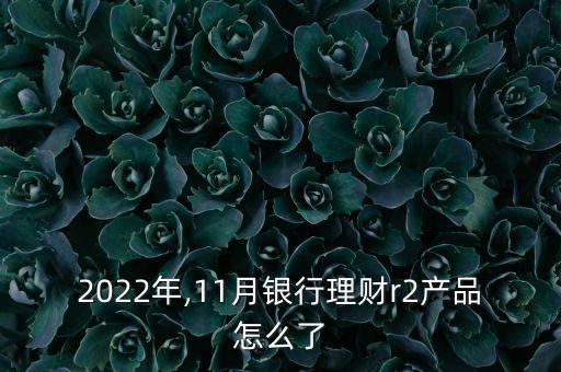 2022年,11月銀行理財(cái)r2產(chǎn)品怎么了