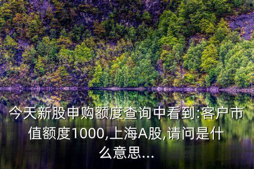 今天新股申購(gòu)額度查詢中看到:客戶市值額度1000,上海A股,請(qǐng)問(wèn)是什么意思...