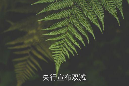 央行宣布雙減