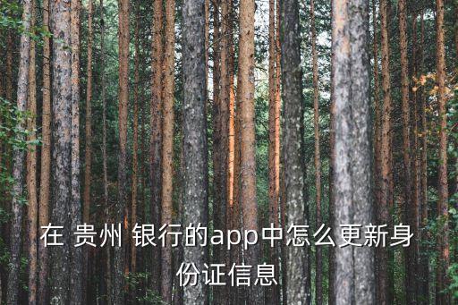 在 貴州 銀行的app中怎么更新身份證信息