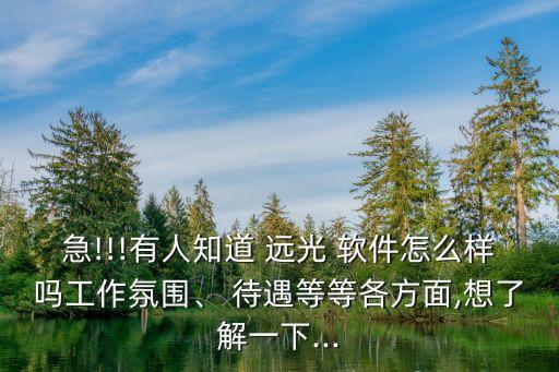 急!!!有人知道 遠光 軟件怎么樣嗎工作氛圍、 待遇等等各方面,想了解一下...