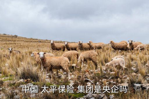 中國 太平保險 集團是央企嗎