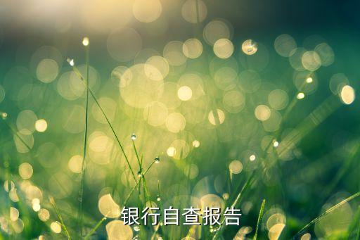 中國式影子銀行風(fēng)險(xiǎn)評(píng)估