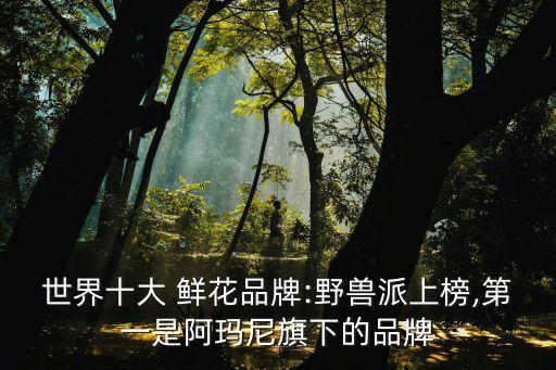 愛上鮮花股份有限公司,廣東愛上新材料股份有限公司怎么樣