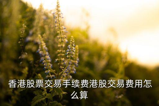  香港股票交易手續(xù)費(fèi)港股交易費(fèi)用怎么算