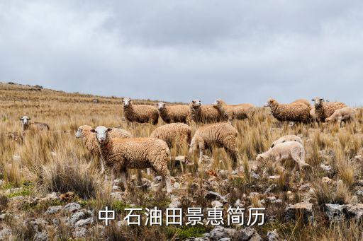 中 石油田景惠簡歷