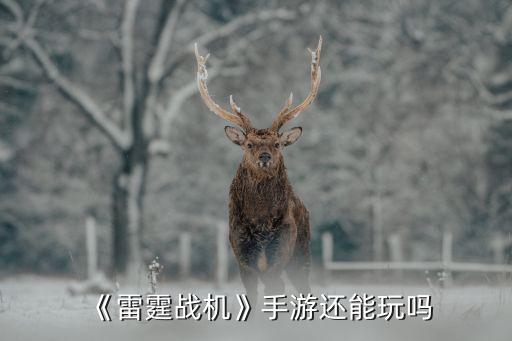 《雷霆戰(zhàn)機(jī)》手游還能玩嗎