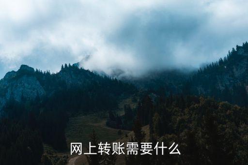  網(wǎng)上轉賬需要什么