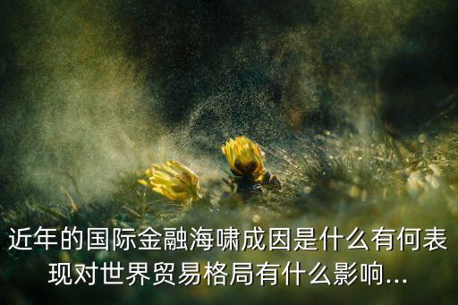 近年的國際金融海嘯成因是什么有何表現(xiàn)對(duì)世界貿(mào)易格局有什么影響...