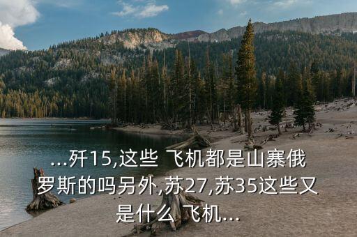 ...殲15,這些 飛機都是山寨俄羅斯的嗎另外,蘇27,蘇35這些又是什么 飛機...